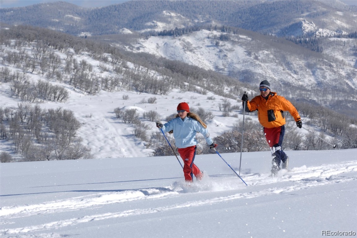 41700 Marabou Loop Steamboat Springs, CO 80487 - Photo 24 of 28