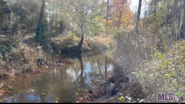 $169,300 | Tbd Tbd, Deridder, LA 70634