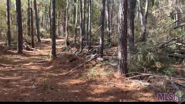 $169,300 | Tbd Tbd, Deridder, LA 70634