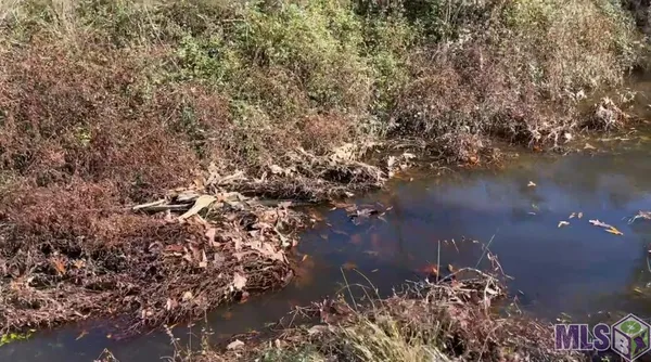 $169,300 | Tbd Tbd, Deridder, LA 70634