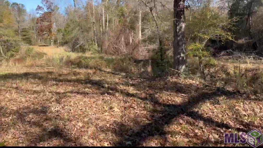 Tbd Tbd Deridder, LA 70634 - Photo 7 of 9