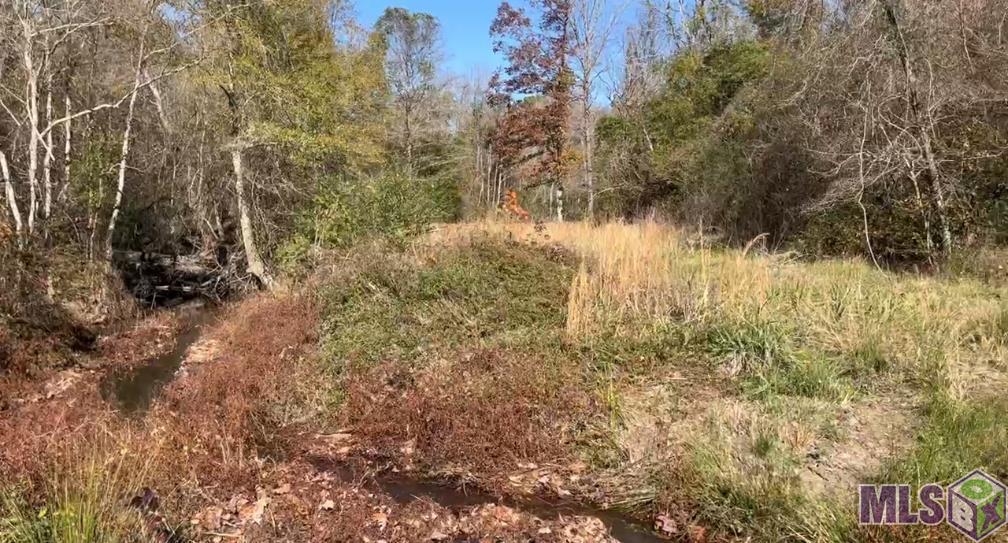 Tbd Tbd Deridder, LA 70634 - Photo 8 of 9