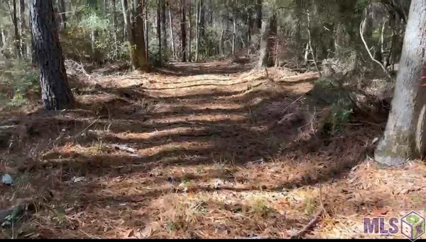 $169,300 | Tbd Tbd, Deridder, LA 70634