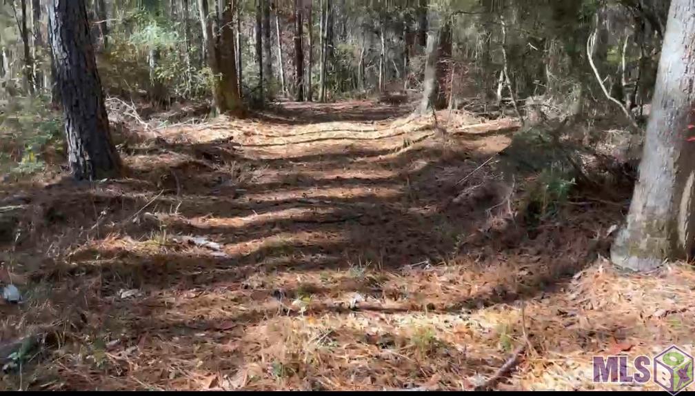 Tbd Tbd Deridder, LA 70634 - Photo 9 of 9