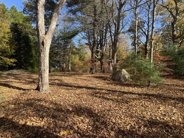 a backyard of a house with lots of green space