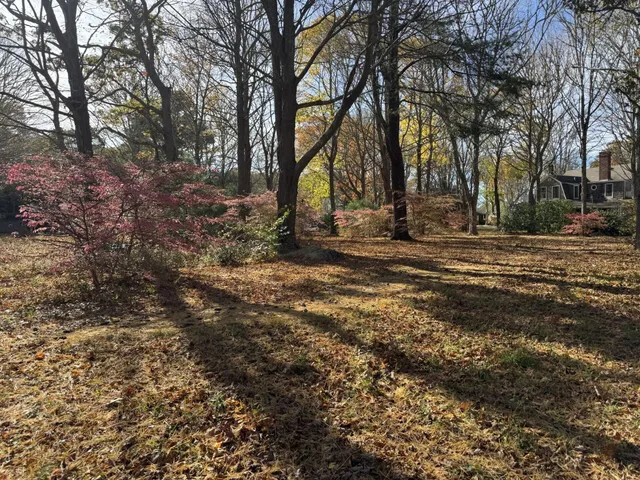 a view of park with tree