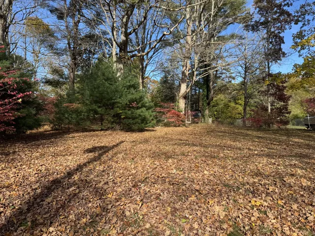 a view of a yard with large trees