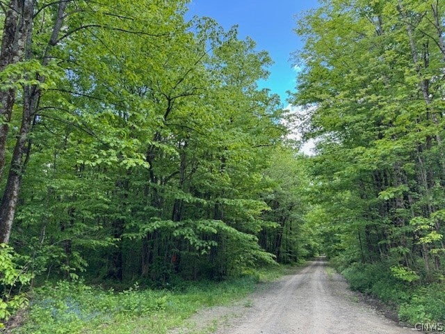 Harris Road Cincinnatus, NY 13040 - Photo 1 of 22 Gallery Image 1