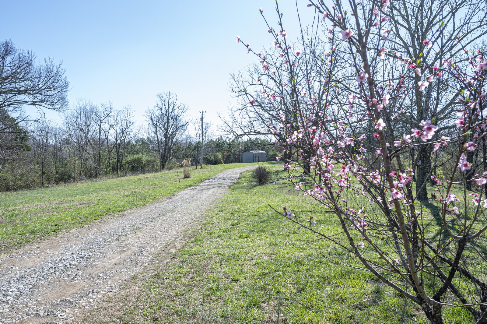 5921 Beard Road Franklin, TN 37064 - Photo 6 of 14 a view of a park with large trees