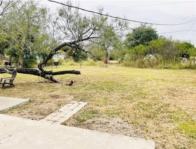a view of a yard with a tree