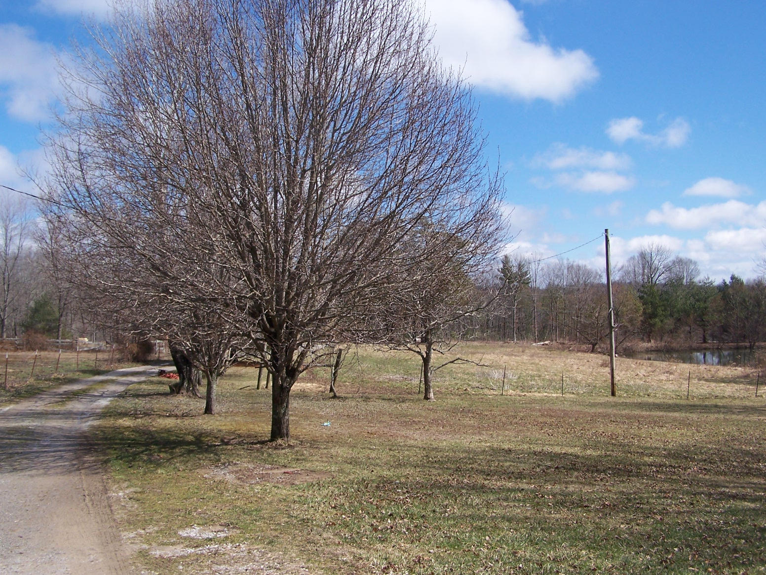 912 Al Goss Road Crossville, TN 38571 - Photo 1 of 15 100_3677