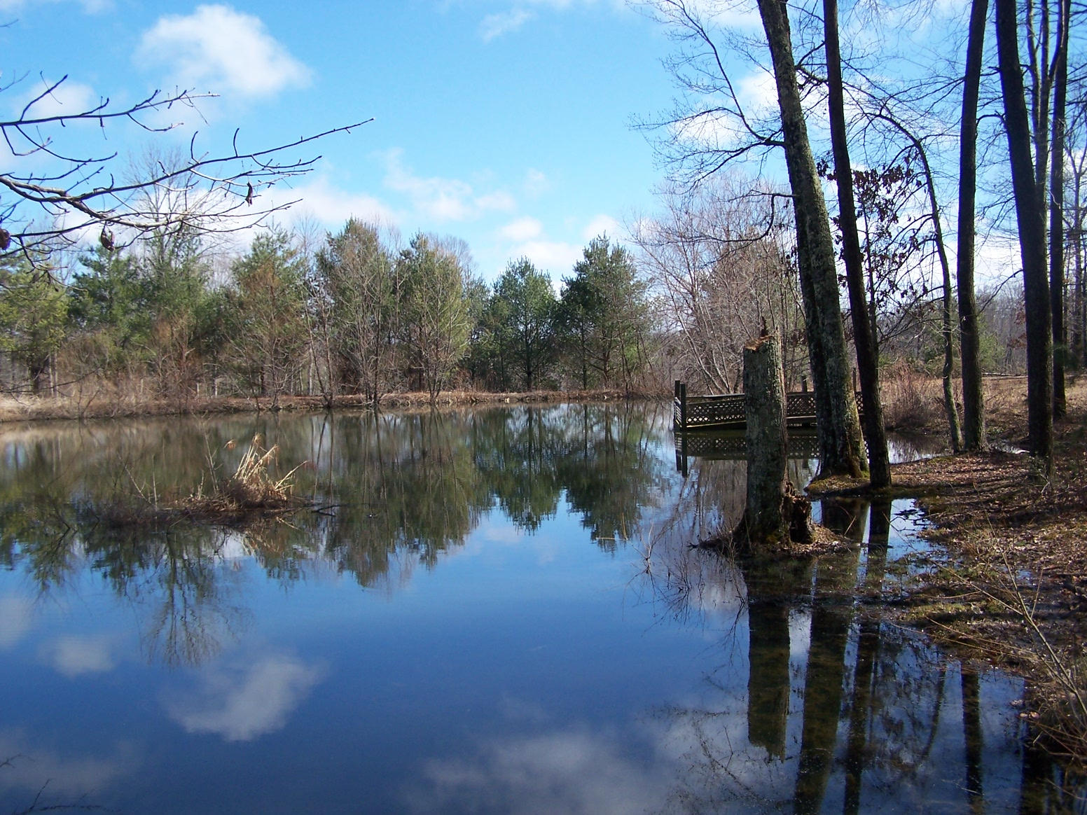 912 Al Goss Road Crossville, TN 38571 - Photo 8 of 15 100_3684