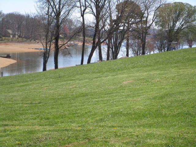 265 Sam Heim Road Rutledge, TN 37861 - Photo 20 of 24 IMG_0117.JPG