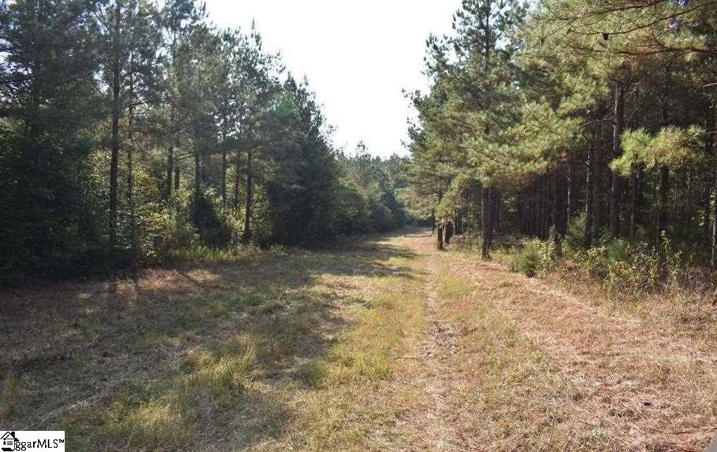 A400 Bramlett Road, Unit TRACT 4B Laurens, SC 29360 - Photo 14 of 33 Gallery Image 14