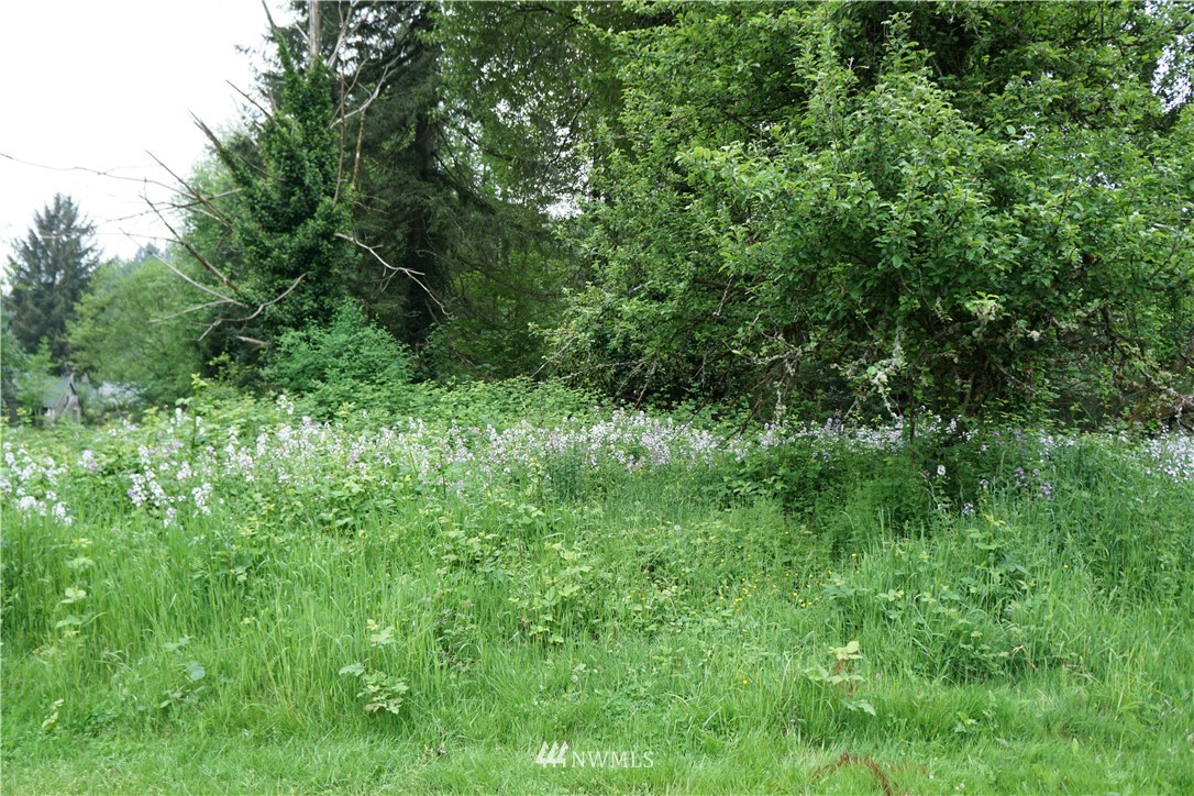 0 Rousher Street Wilkeson, WA 98396 - Photo 2 of 5