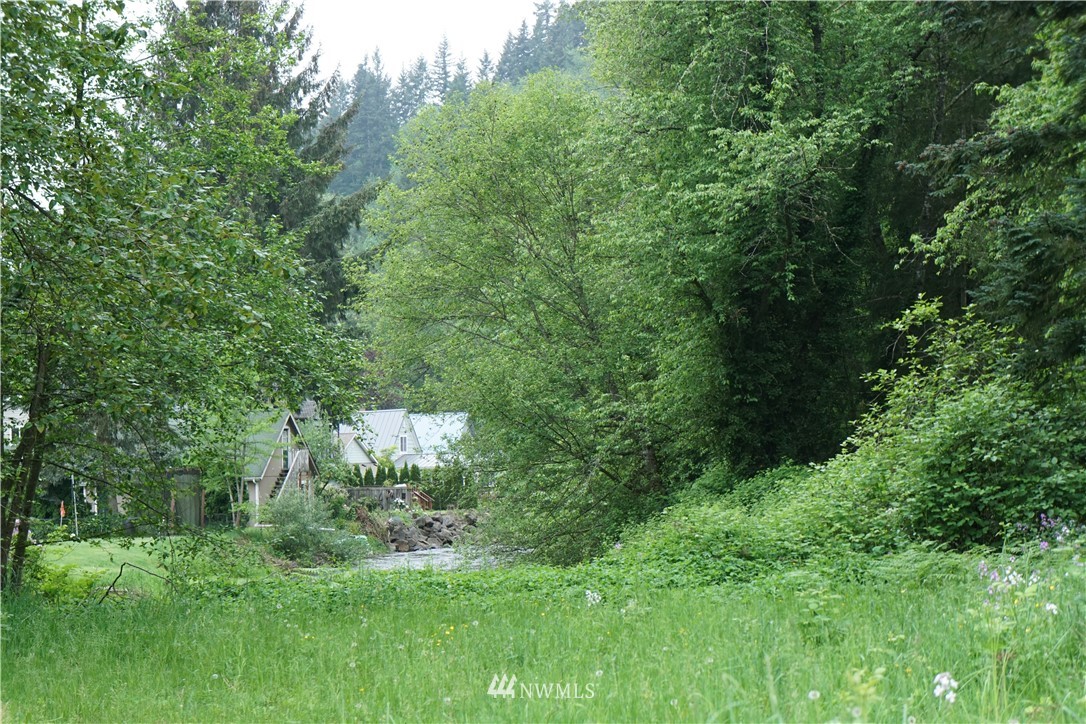 0 Rousher Street Wilkeson, WA 98396 - Photo 4 of 5