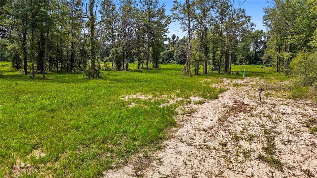 0 Lee's Landing Road Ponchatoula, LA 70454 - Photo 3 of 14