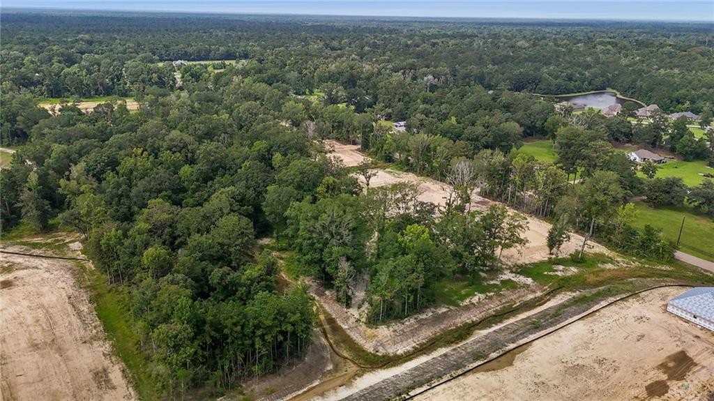 0 Lee's Landing Road Ponchatoula, LA 70454 - Photo 6 of 14