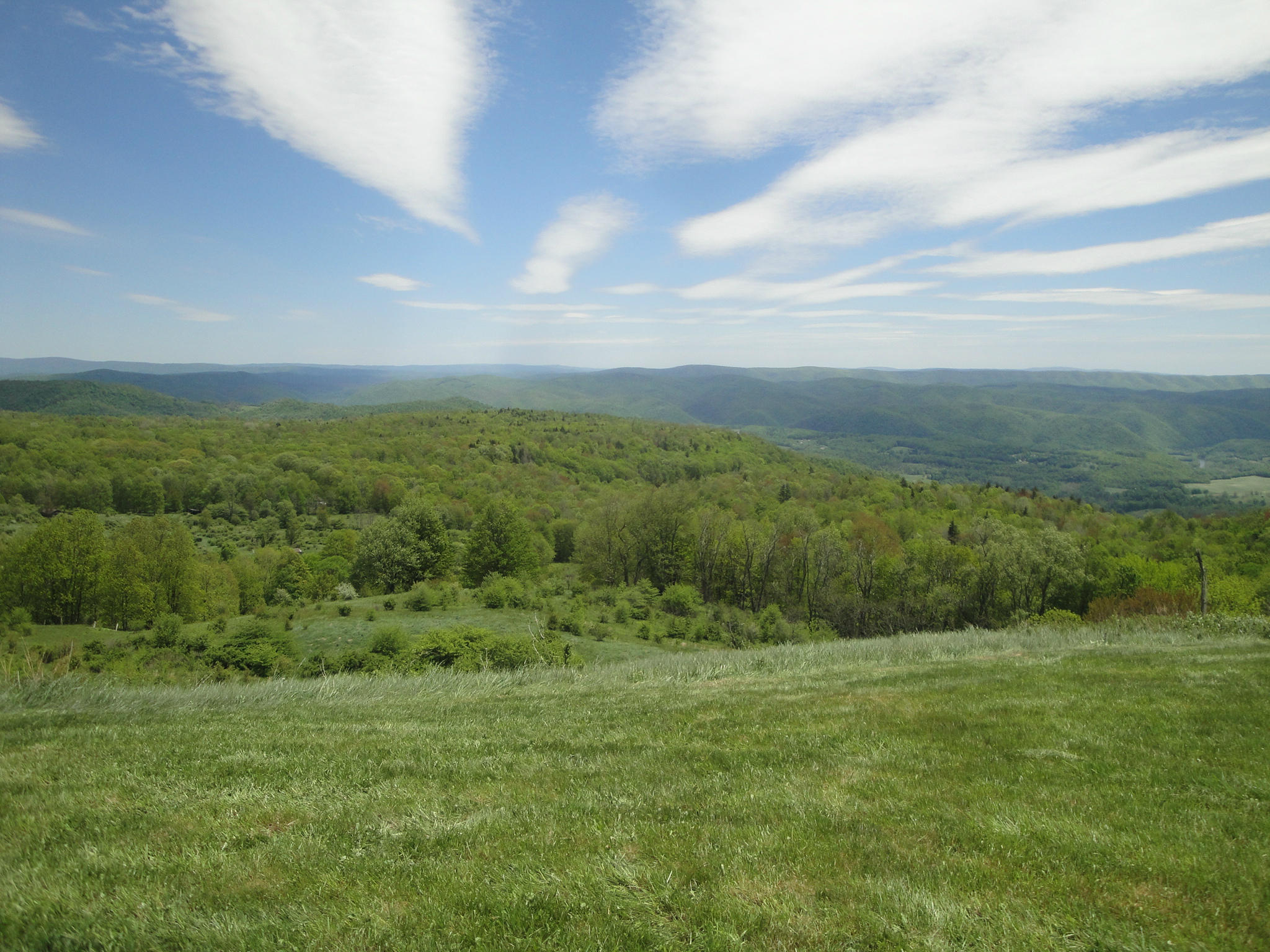Spruce Flats Road Marlinton, WV 24954 - Photo 28 of 29 Gallery Image 28