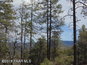 1615 High Valley Ranch Road Prescott, AZ 86303 - Photo 6 of 17 High Valley Ranch