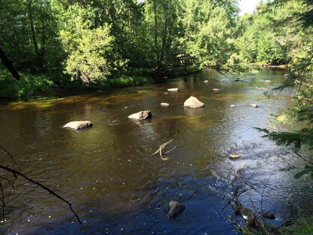 1 Drifting Waters Trail Rhinelander, WI 54501 - Photo 12 of 19 Gallery Image 12