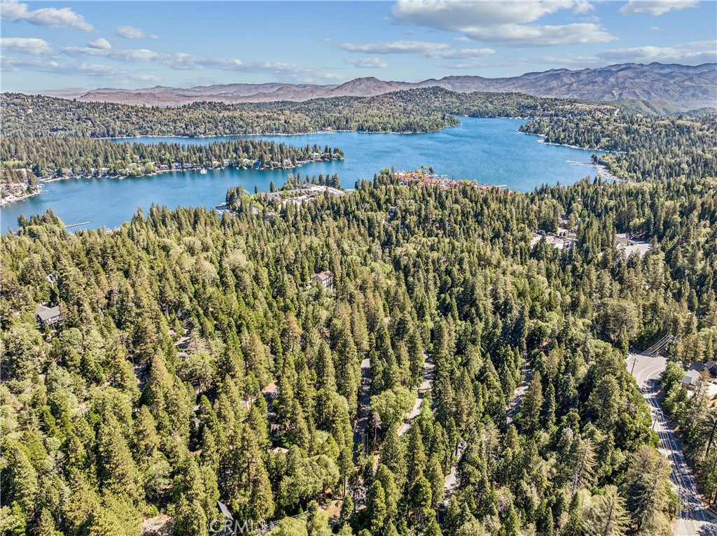 404 Hillside Road Lake Arrowhead, CA 92352 - Photo 29 of 30