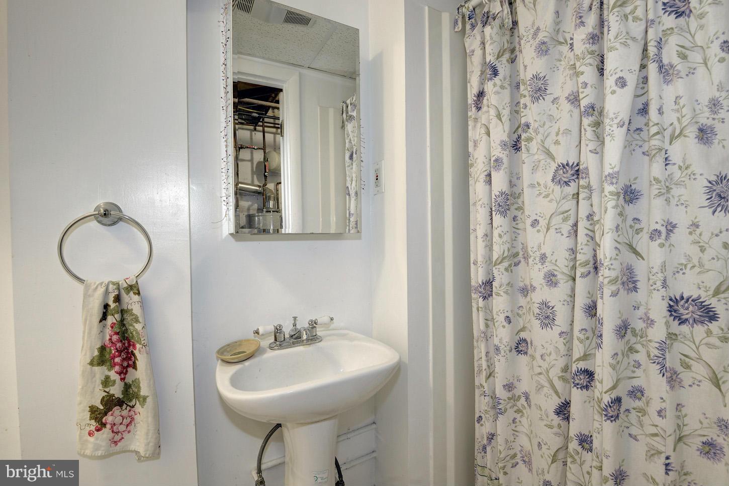 2452 39th Street Northwest Washington, DC 20007 - Photo 19 of 20 Bath