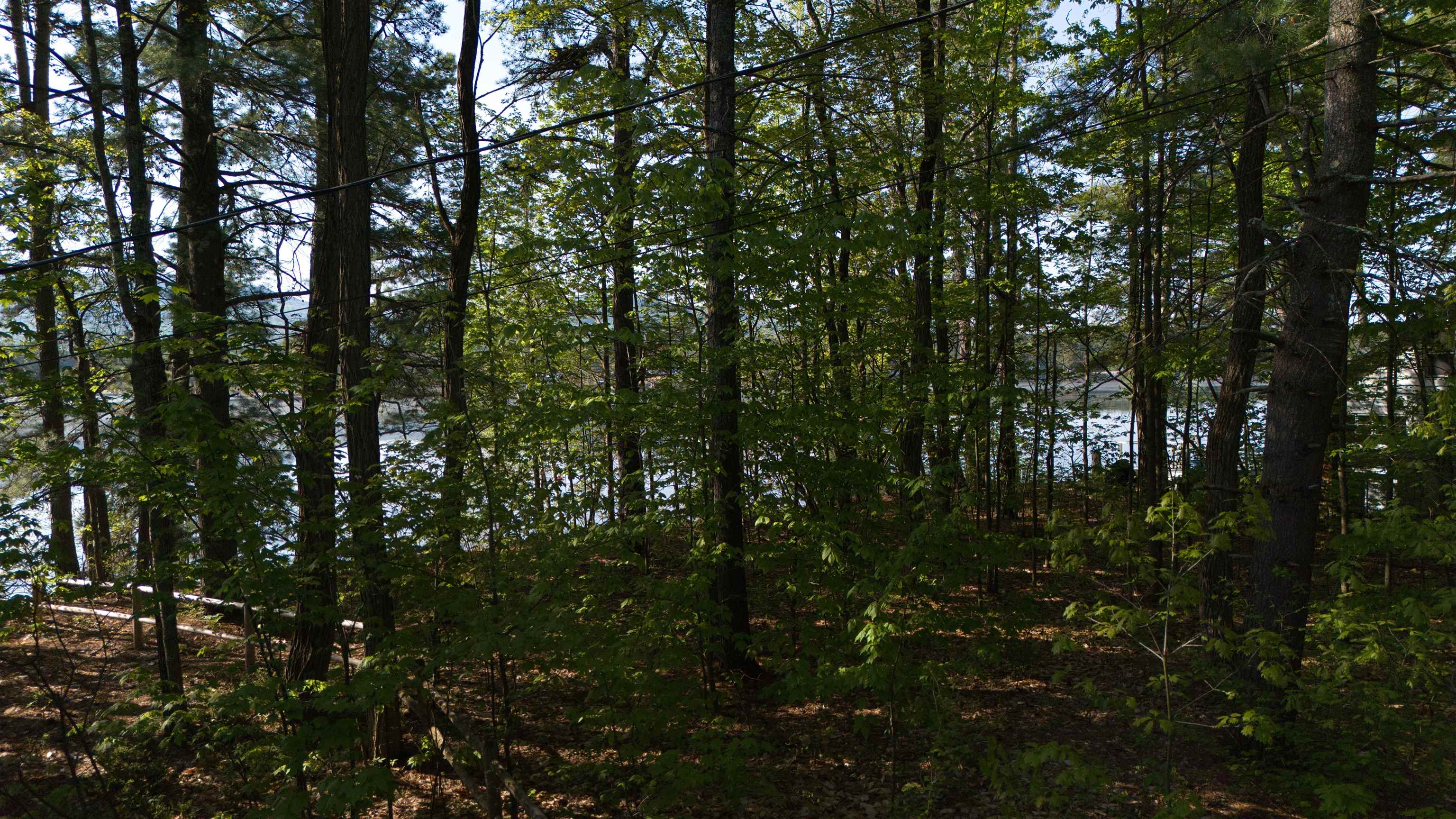 164 Leavitt Road Ossipee, NH 03814 - Photo 10 of 21