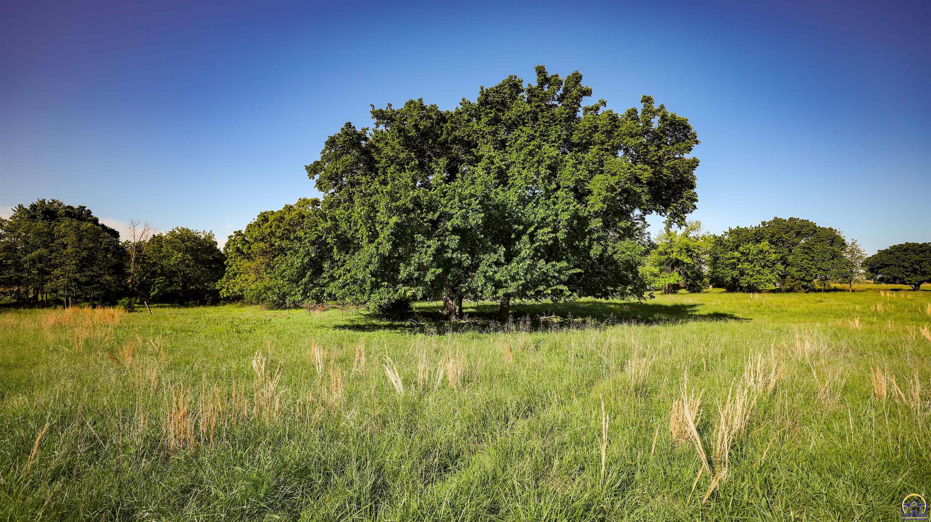 377 Julep Road Yates Center, KS 66783 - Photo 75 of 87 Gallery Image 75