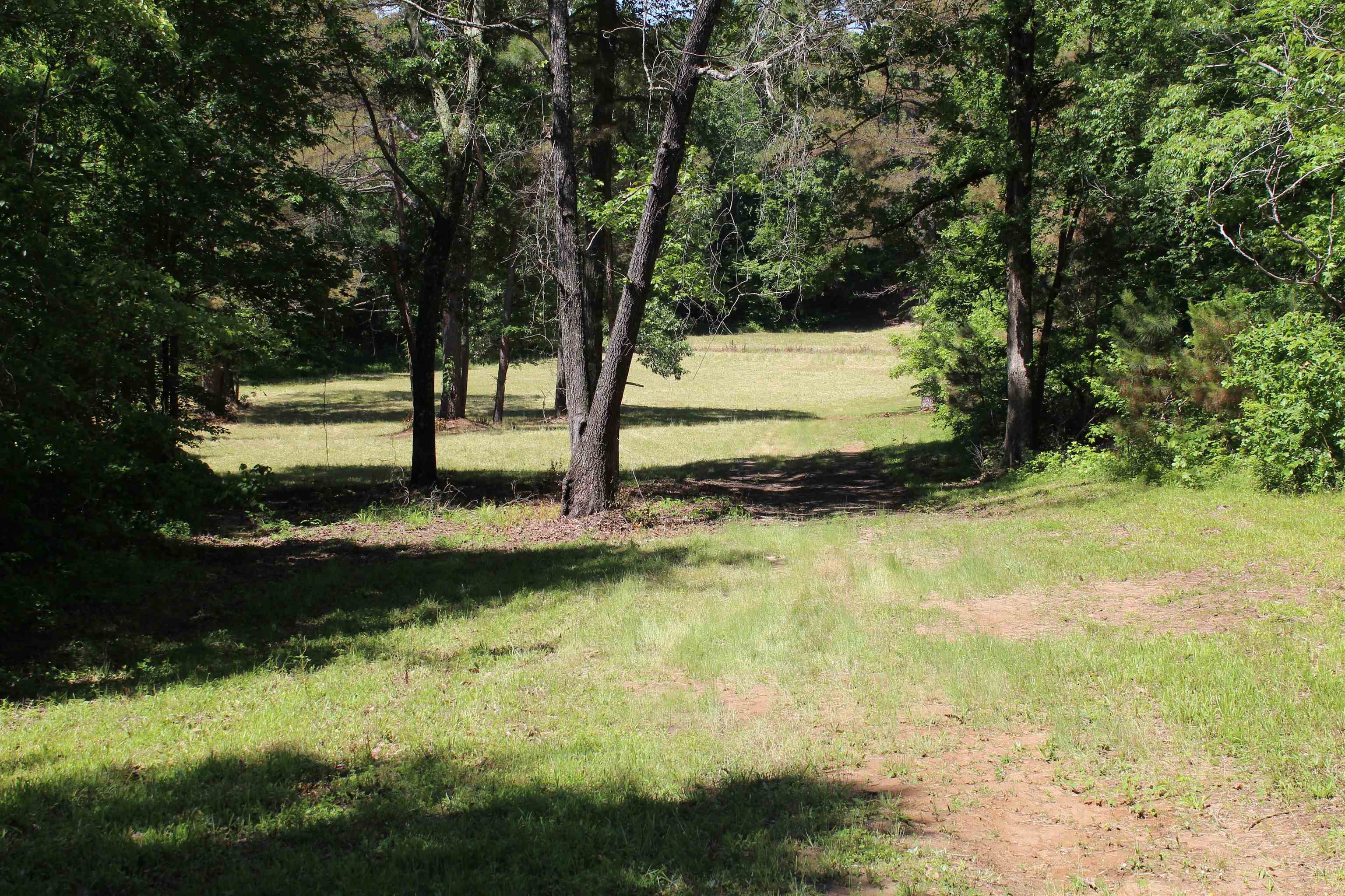 0 Silerton Road Toone, TN 38381 - Photo 11 of 24