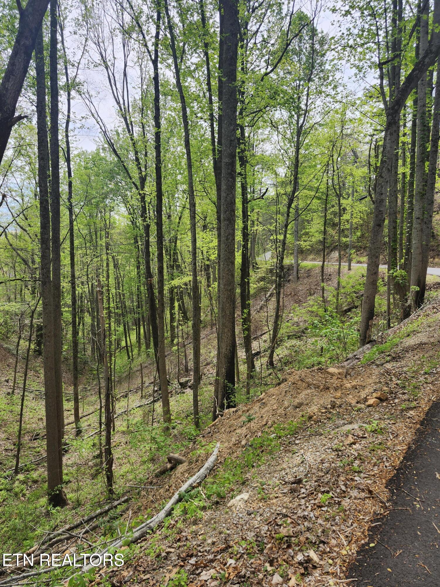Lot 1 Hatcher Mtn Road Sevierville, TN 37862 - Photo 4 of 10 Image 04