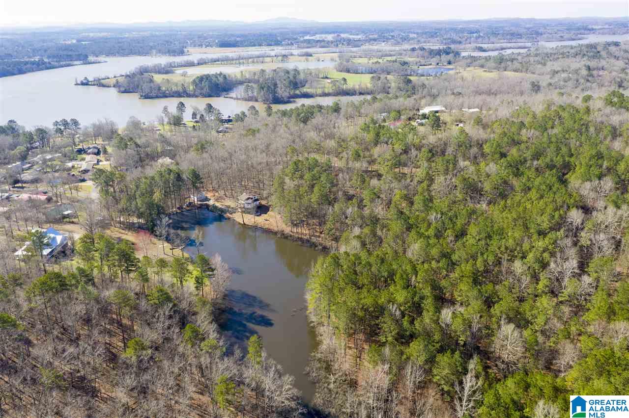 593 Lock 4 Road Riverside, AL 35135 - Photo 41 of 49
