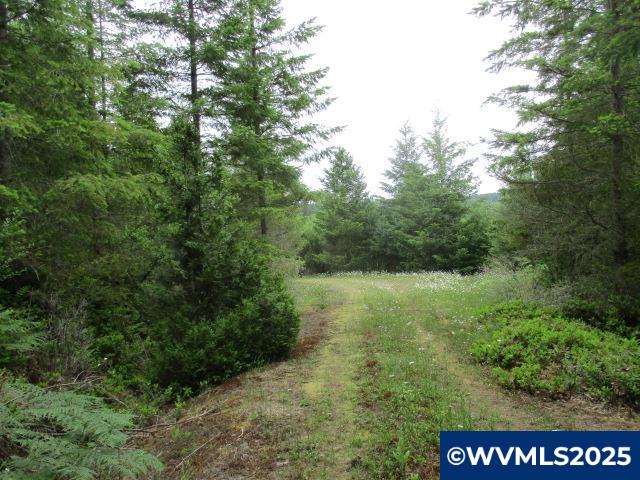 0 Gruber South Road Estacada, OR 97023 - Photo 18 of 30