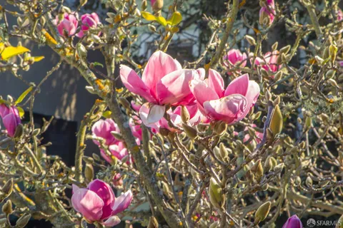 a balcony with furniture