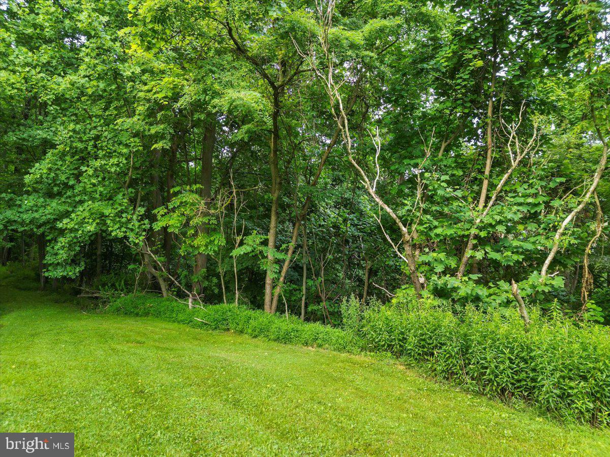 611 Timber Trail McHenry, MD 21541 - Photo 24 of 31