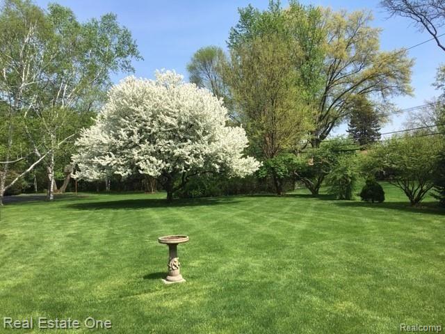976 South Reading Road Bloomfield Hills, MI 48304 - Photo 33 of 38 Summer bloom