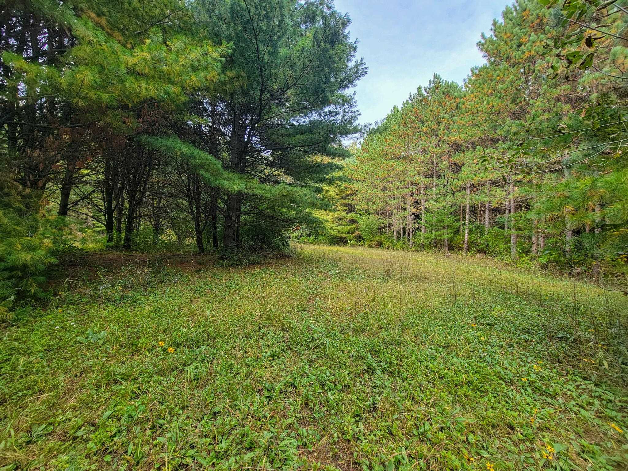 N9106 Pagel Road Iola, WI 54945 - Photo 28 of 44 Gallery Image 28