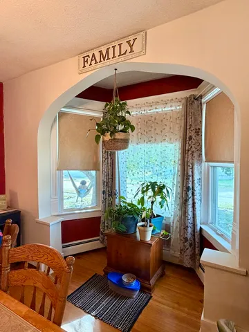 a living room with furniture and a potted plant