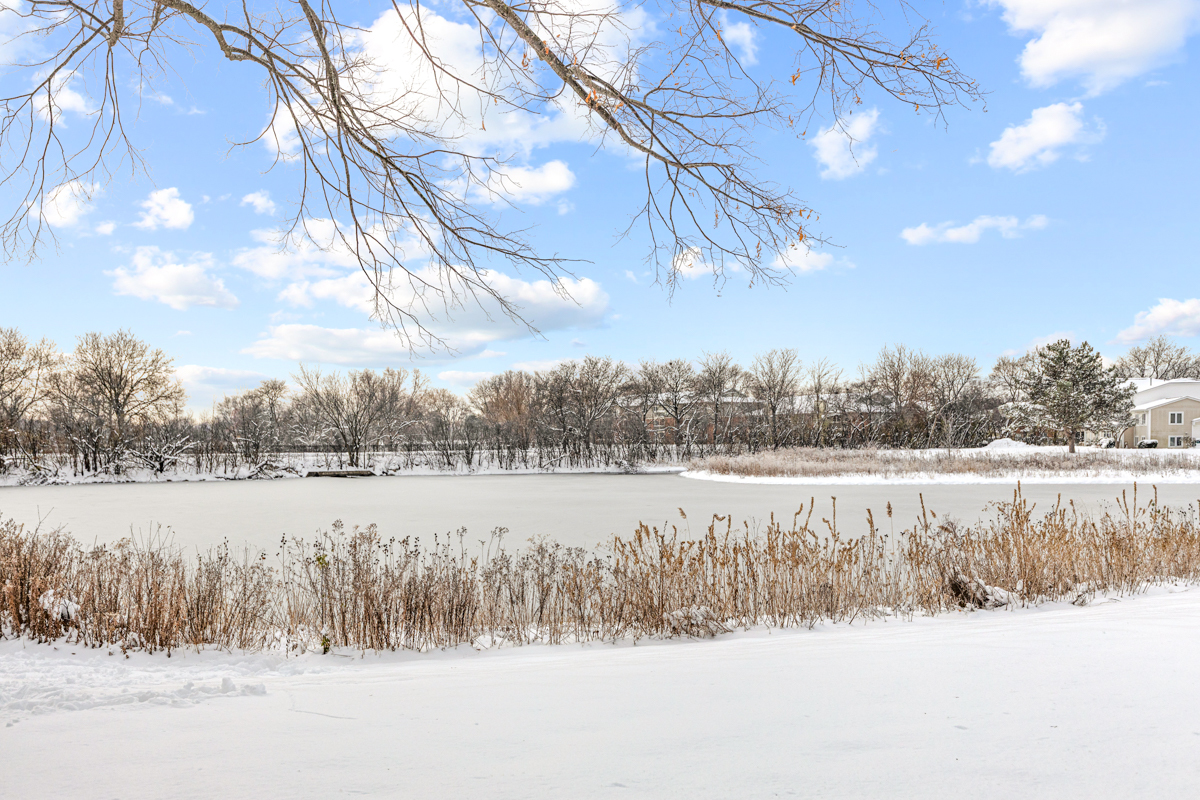 262 Inverrary Lane Deerfield, IL 60015 - Photo 25 of 26