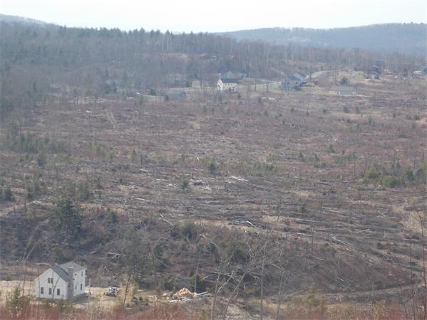 29-1 Upper Hampden Road Monson, MA 01057 - Photo 10 of 11 Gallery Image 10