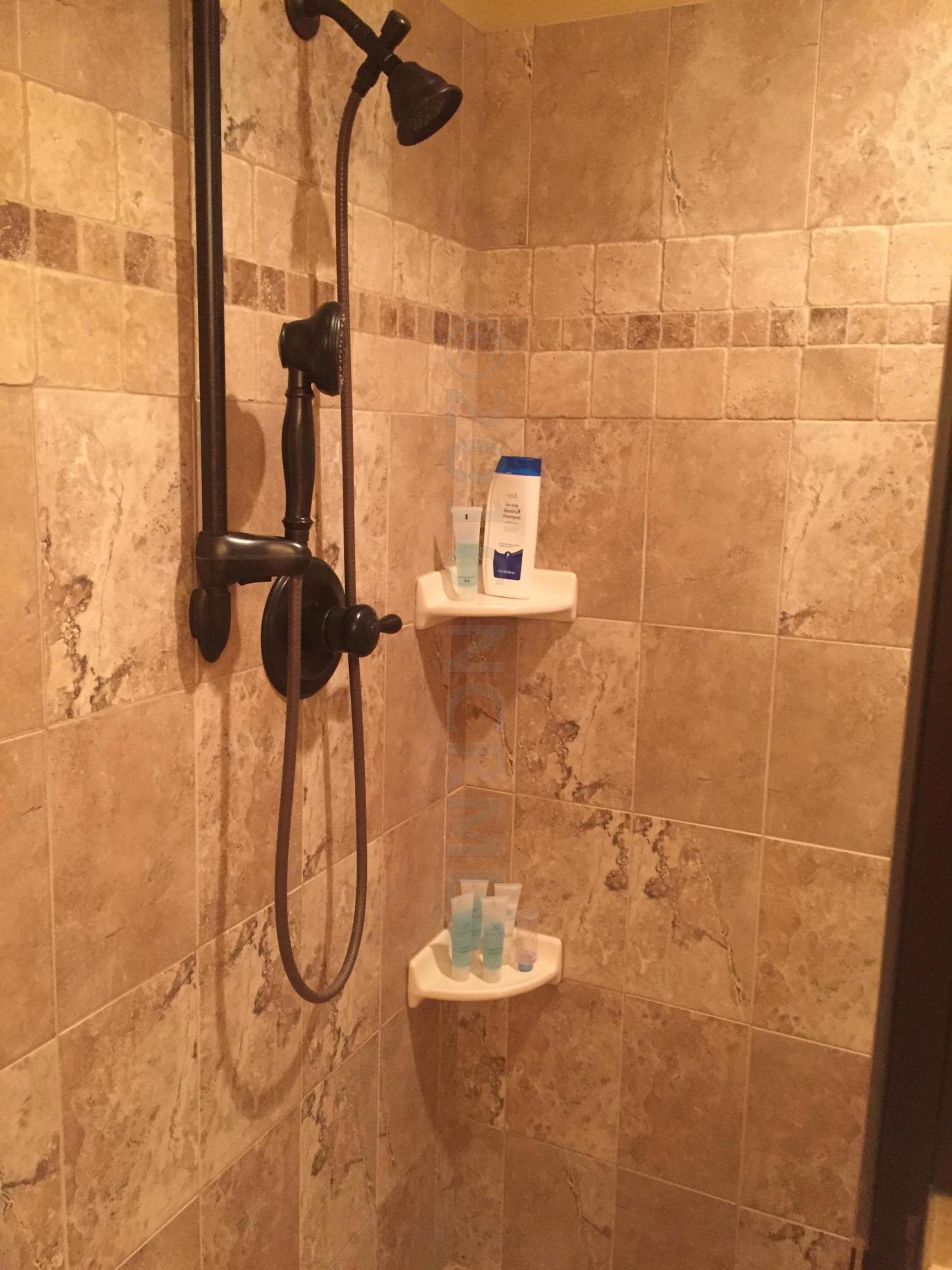 6924 Riverpoint Road Elm City, NC 27822 - Photo 27 of 45 Master Shower