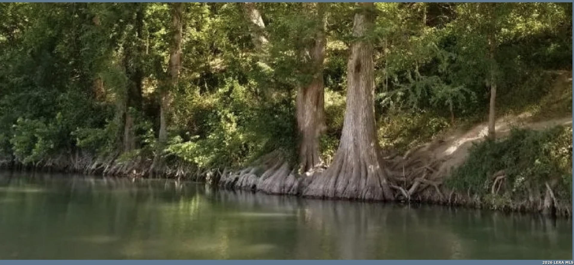 1006 Deep Water Drive Spring Branch, TX 78070 - Photo 3 of 6