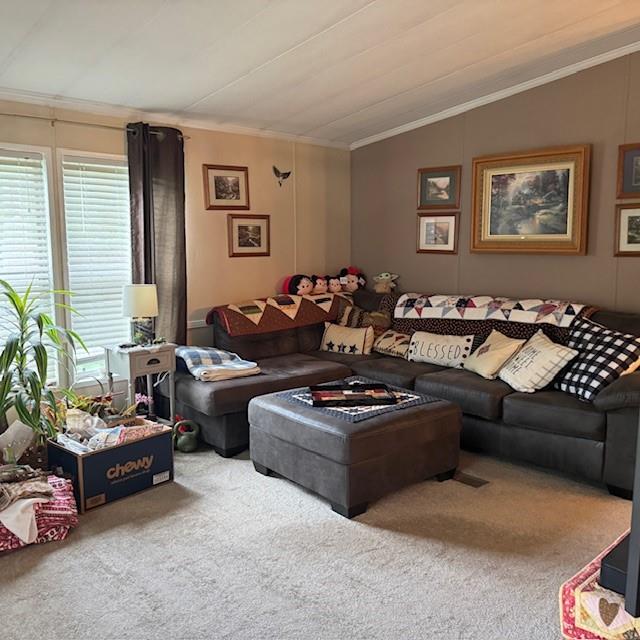 910 Robin Drive Apollo, PA 15613 - Photo 8 of 22 a living room with furniture