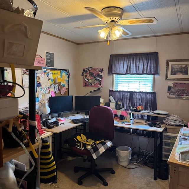 910 Robin Drive Apollo, PA 15613 - Photo 10 of 22 a room with furniture and a window