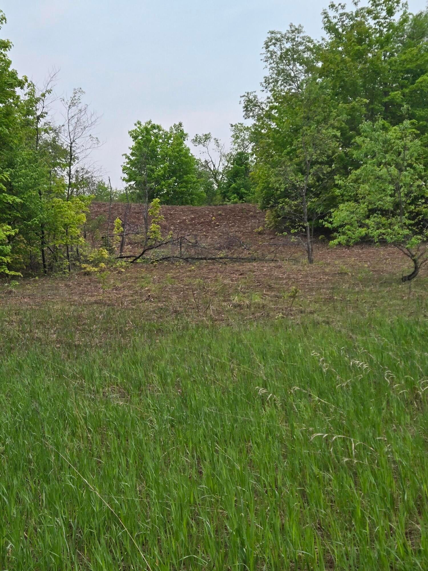 0 Durkalic Road Pellston, MI 49769 - Photo 6 of 15 20250530_111734