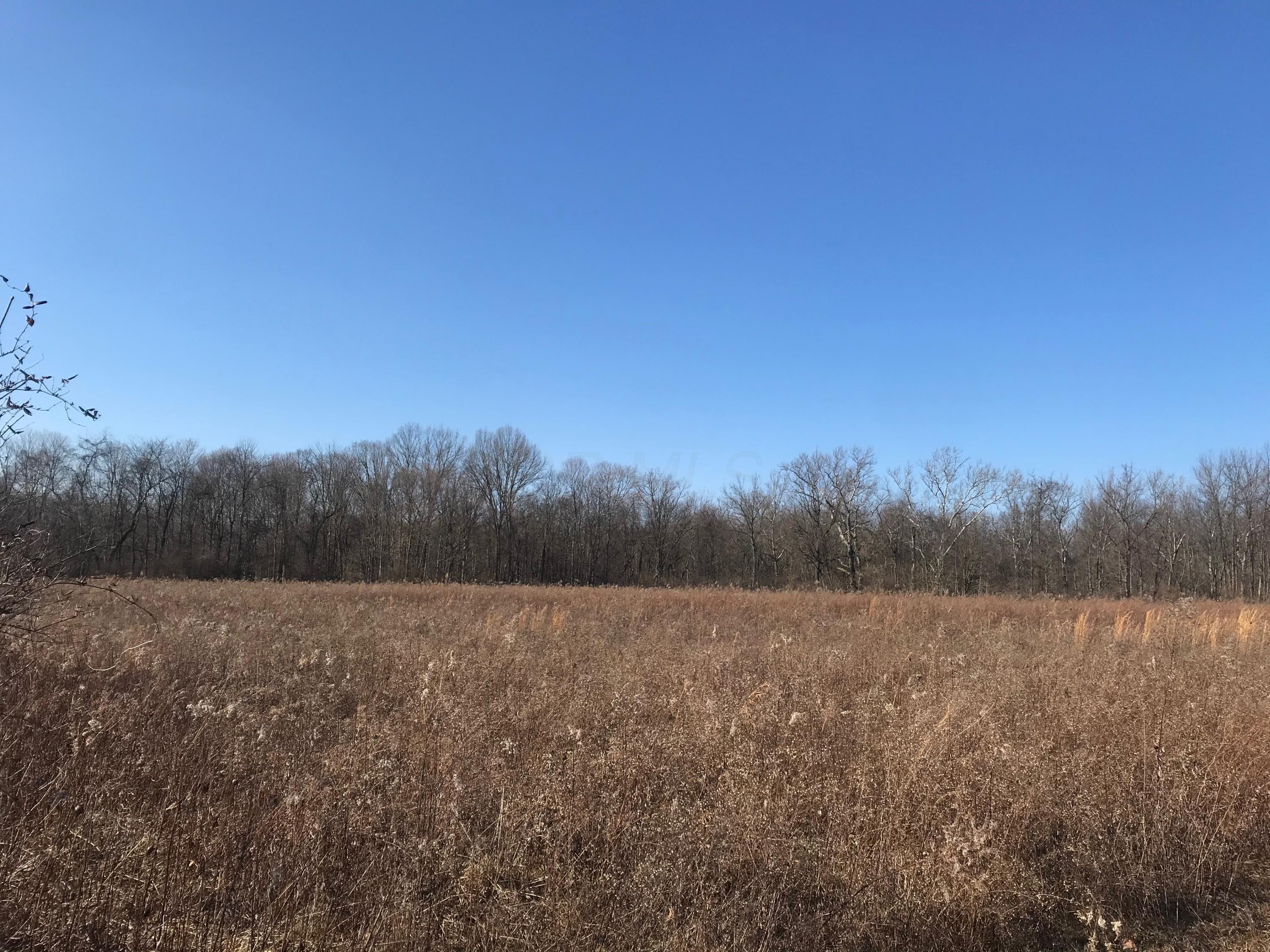 0 Shoemaker Road, Unit TRACT 3 Circleville, OH 43113 - Photo 1 of 5 Gallery Image 1