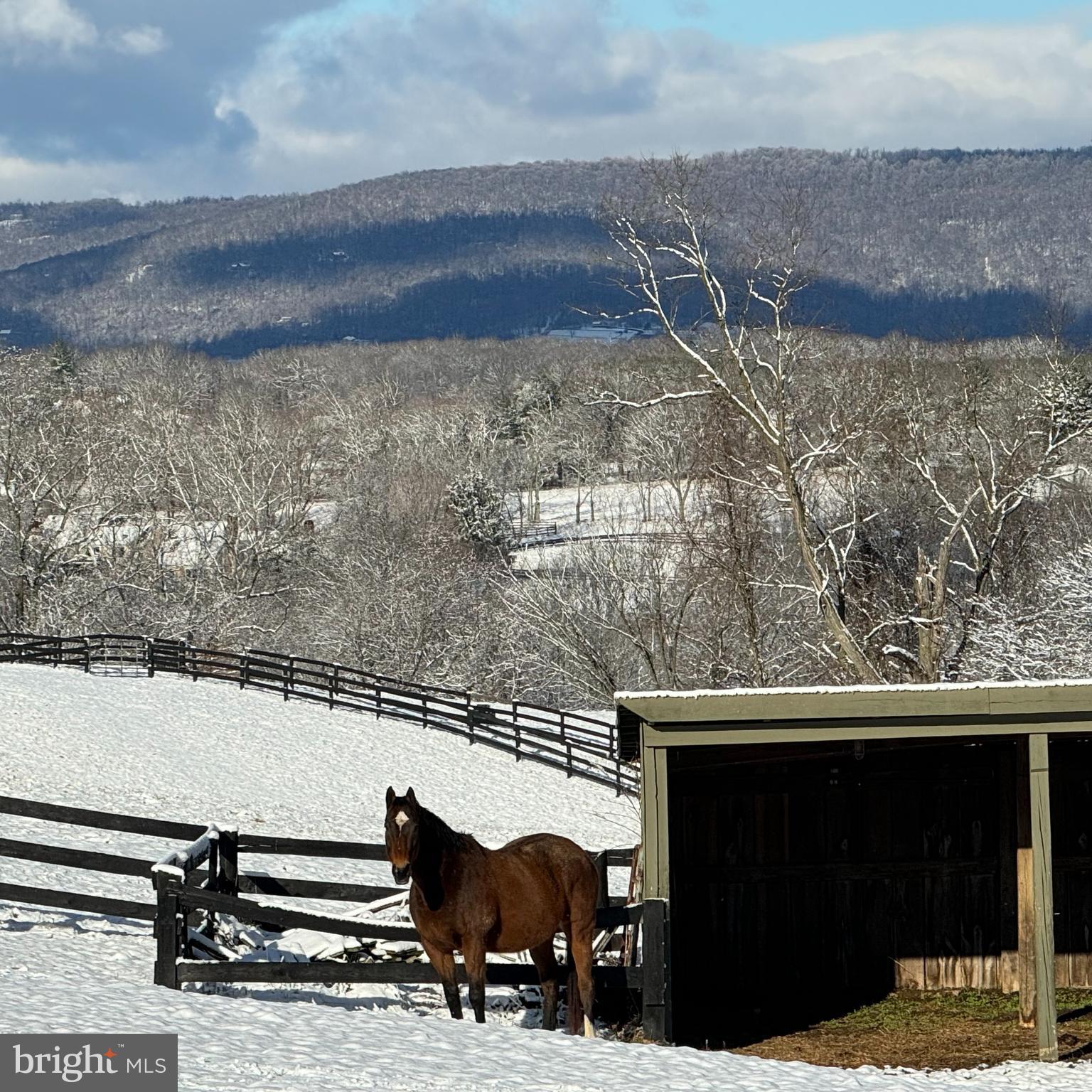 20385 Beaverdam Bridge Road Purcellville, VA 20132 - Photo 149 of 150 View from Front pasture