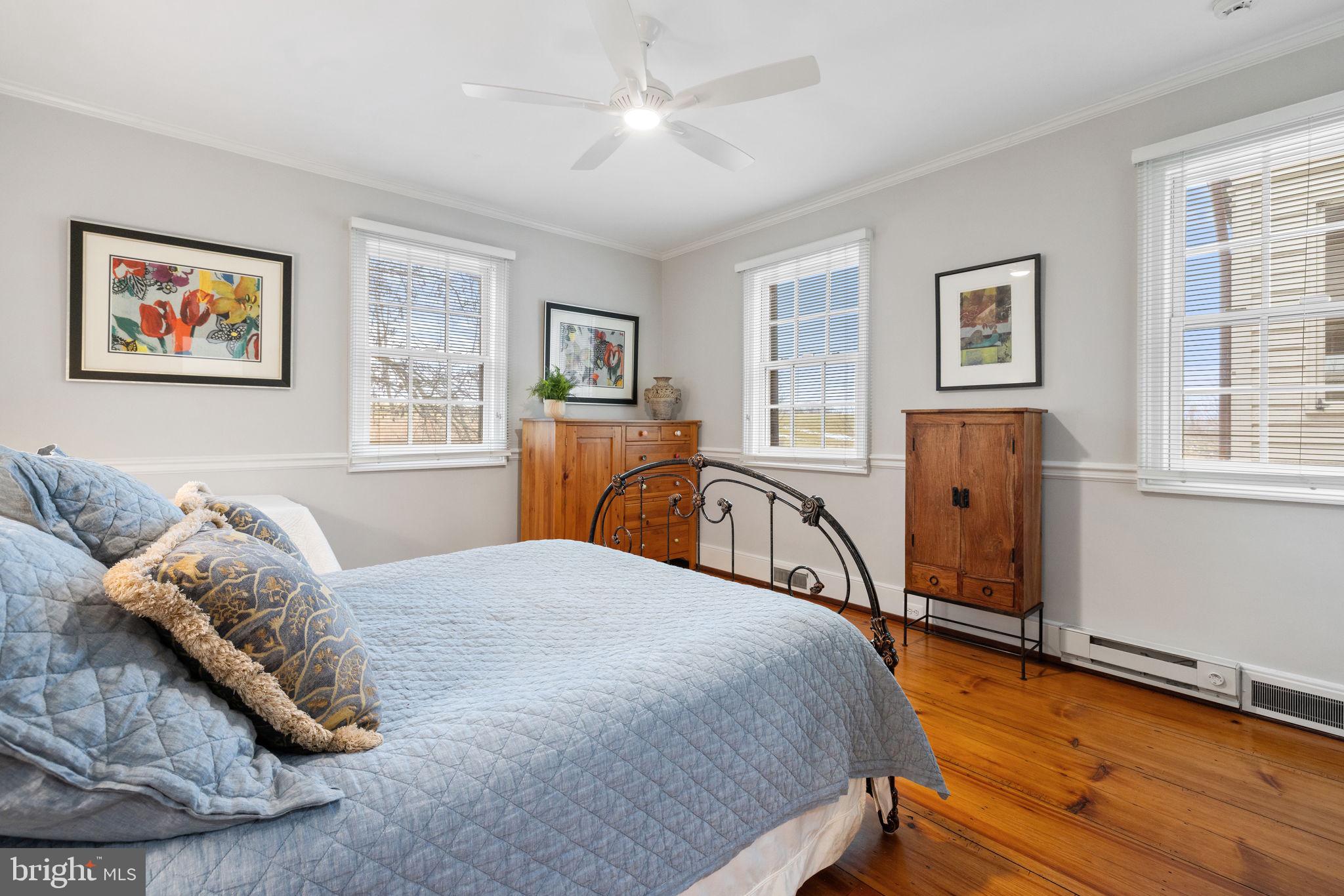 20385 Beaverdam Bridge Road Purcellville, VA 20132 - Photo 24 of 150 Primary Bedroom ensuite Main Level.