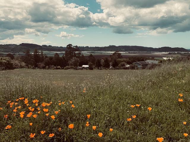 18211 Murphy Hill Road Aromas, CA 95004 - Photo 1 of 11 Gallery Image 1