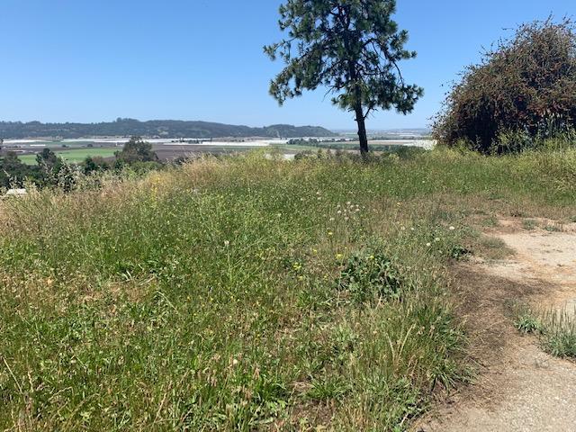 18211 Murphy Hill Road Aromas, CA 95004 - Photo 9 of 11 Gallery Image 9